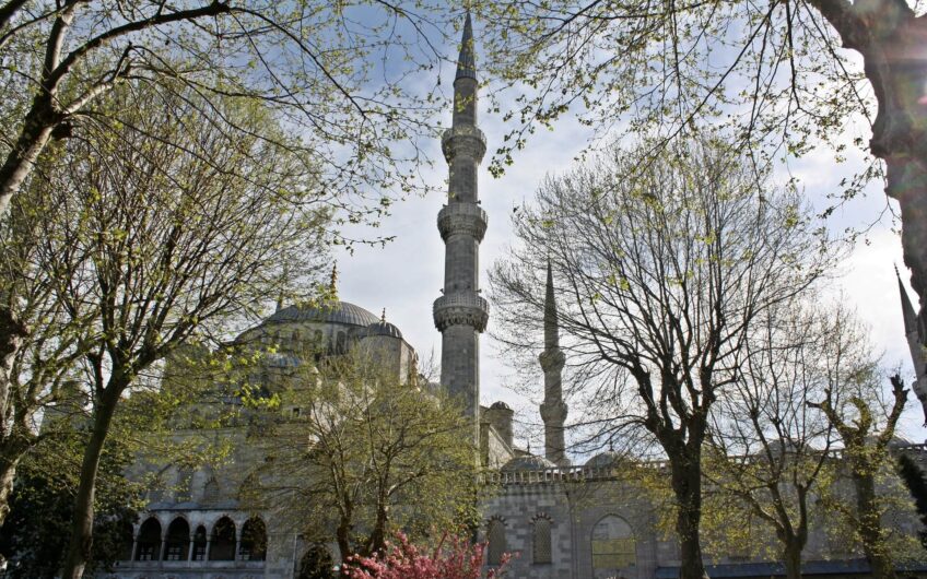 Deneme Satılık